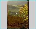 Pour agrandir cliquer sur la vignette dscn1313.jpg