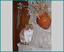 Pour agrandir cliquer sur la vignette dscn1316.jpg