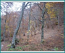 Pour agrandir cliquer sur la vignette dscn1329.jpg