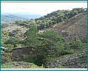 Pour agrandir cliquer sur la vignette dscn1338.jpg