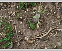 dscn3396.jpg