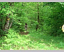 dscn3398.jpg