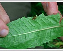 dscn3417.jpg