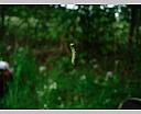 dscn3418.jpg