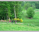 dscn3421.jpg