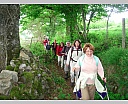 dscn3423.jpg