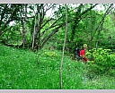 dscn3432.jpg