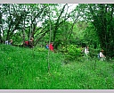 dscn3433.jpg