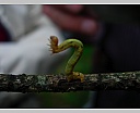 dscn3434.jpg