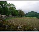 dscn3438.jpg