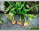 dscn3439.jpg