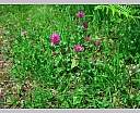 dscn3492.jpg
