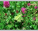 dscn3495.jpg