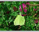 dscn3496.jpg