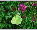 dscn3497.jpg