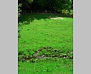 dscn3498.jpg