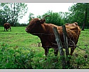dscn3507.jpg