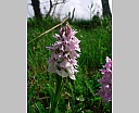 dscn3509.jpg