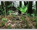 dscn3514.jpg