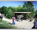 dscn3840.jpg