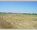 dscn3841.jpg
