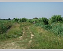 dscn3843.jpg