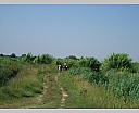 dscn3845.jpg