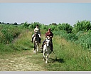 dscn3848.jpg