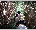 dscn3850.jpg