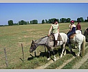 dscn3853.jpg