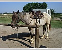 dscn3854.jpg