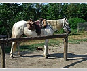dscn3855.jpg