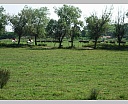 dscn3858.jpg