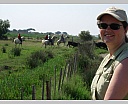 dscn3861.jpg
