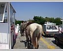 dscn3862.jpg
