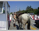 dscn3863.jpg