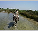 dscn3864.jpg