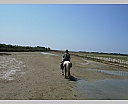 dscn3865.jpg