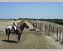 dscn3868.jpg