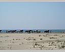 dscn3869.jpg