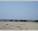 dscn3870.jpg