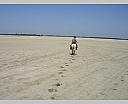 dscn3872.jpg