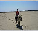 Camargue