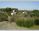 dscn3875.jpg