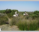 dscn3876.jpg
