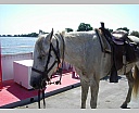dscn3879.jpg