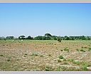 dscn3880.jpg
