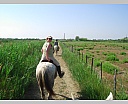 dscn3881.jpg