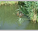 dscn3882.jpg