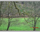 dscn2837.jpg